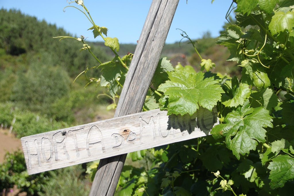 PR6 SRT - Amioso Schist Path - Aromas and Flavors Route