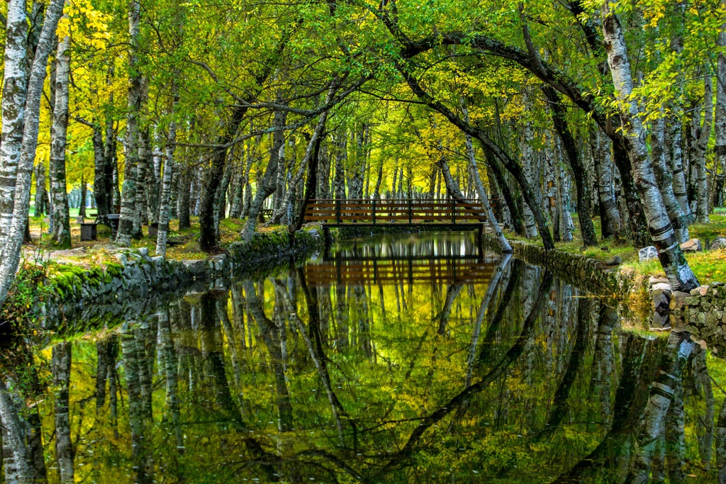 GR33 - Grande Rota do Zêzere - Pedestre [TOTAL]