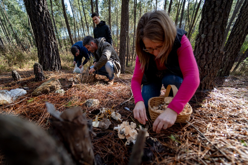 Passeio Micológico Casal da Lapa