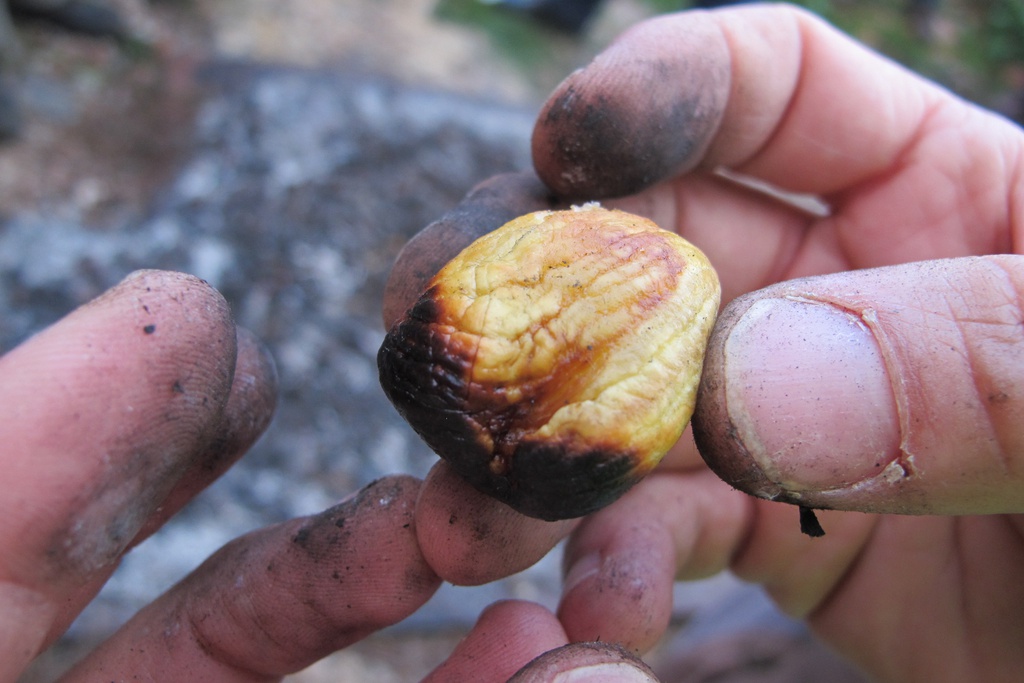 Autumn Magusto in Baixo in January
