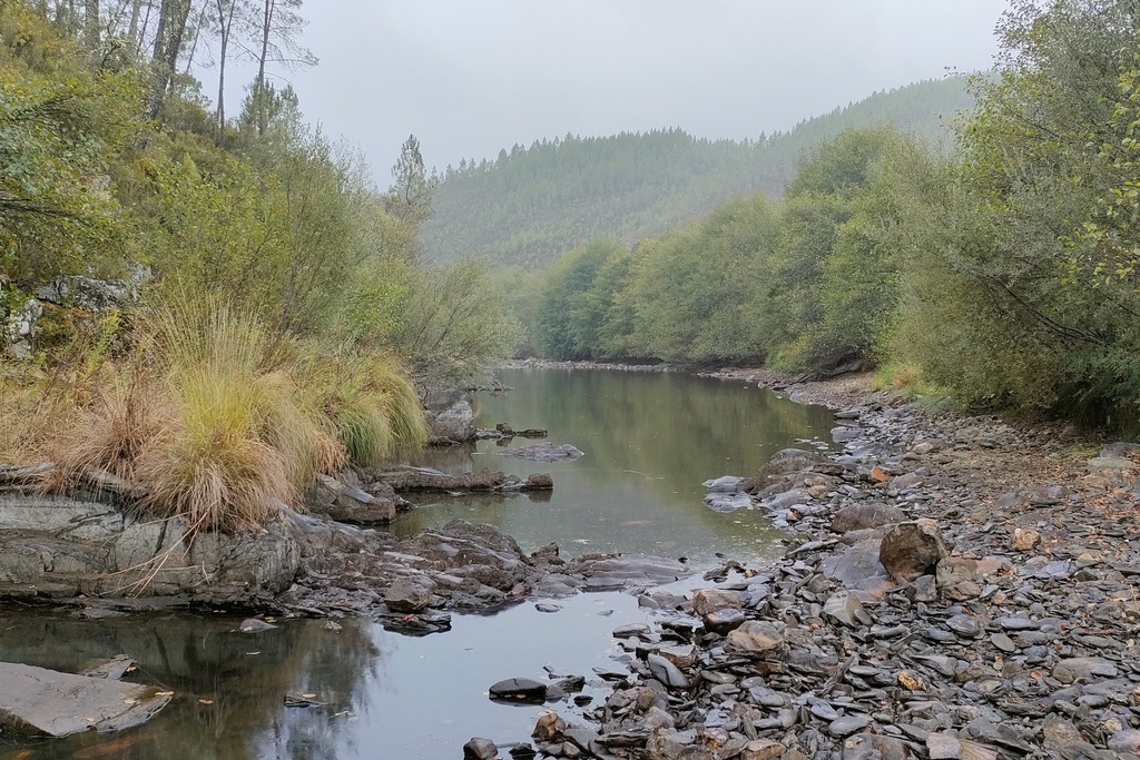 À Procura da Biodiversidade na Ribeira do Alvito