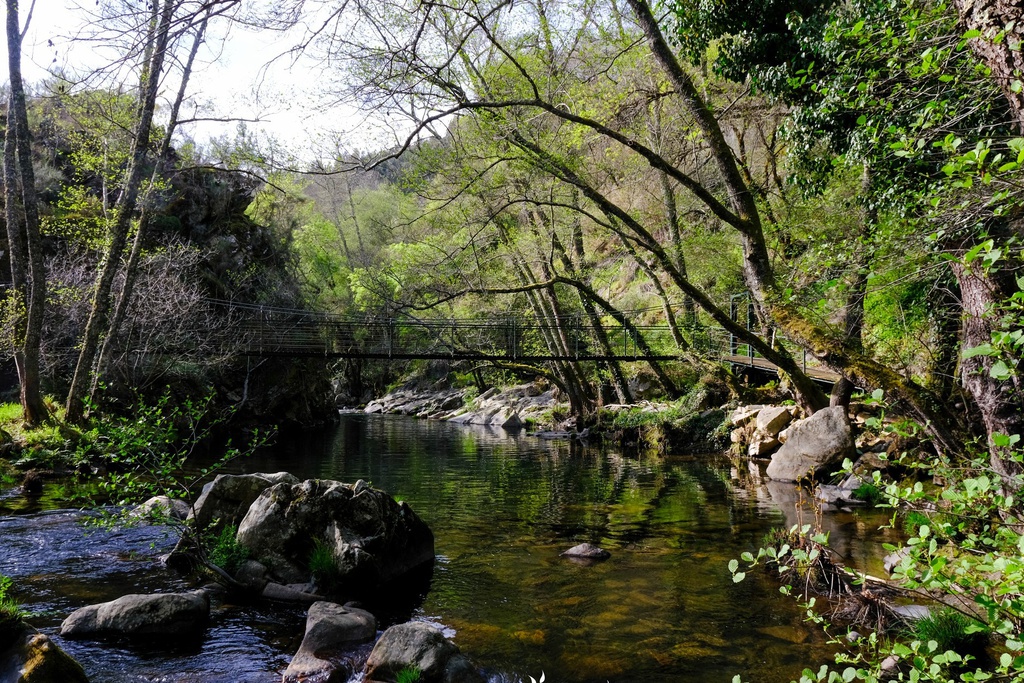 Nautical Winter - Canoeing on the Rapids of Ribeira de Pera