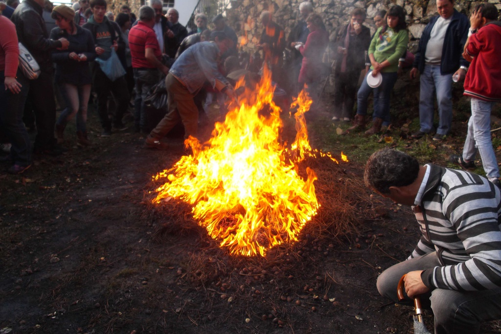 XVI Festa da Castanha em Aldeia das Dez - CANCELADA