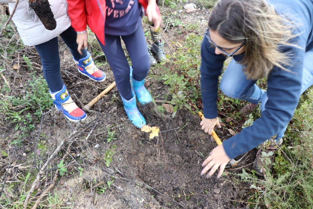 Ação de voluntariado ambiental