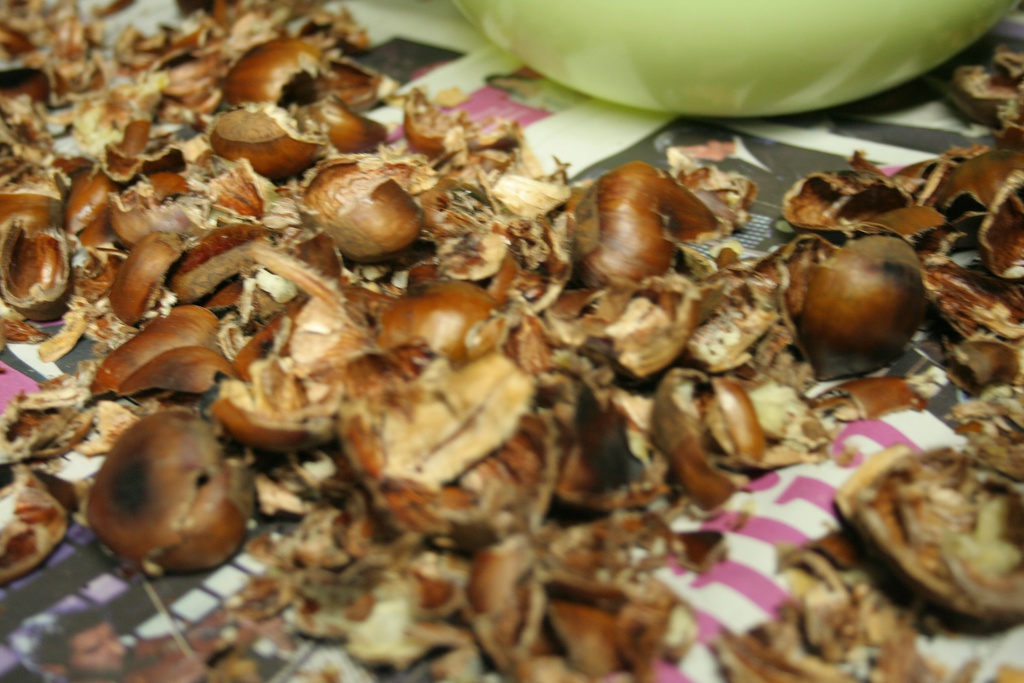 Magusto d’Os Galitos - Sobral de S. Miguel