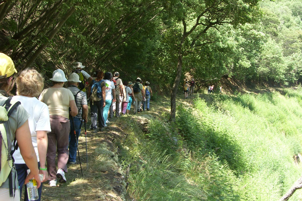 Passeio Pedestre na Serra da Lousã 