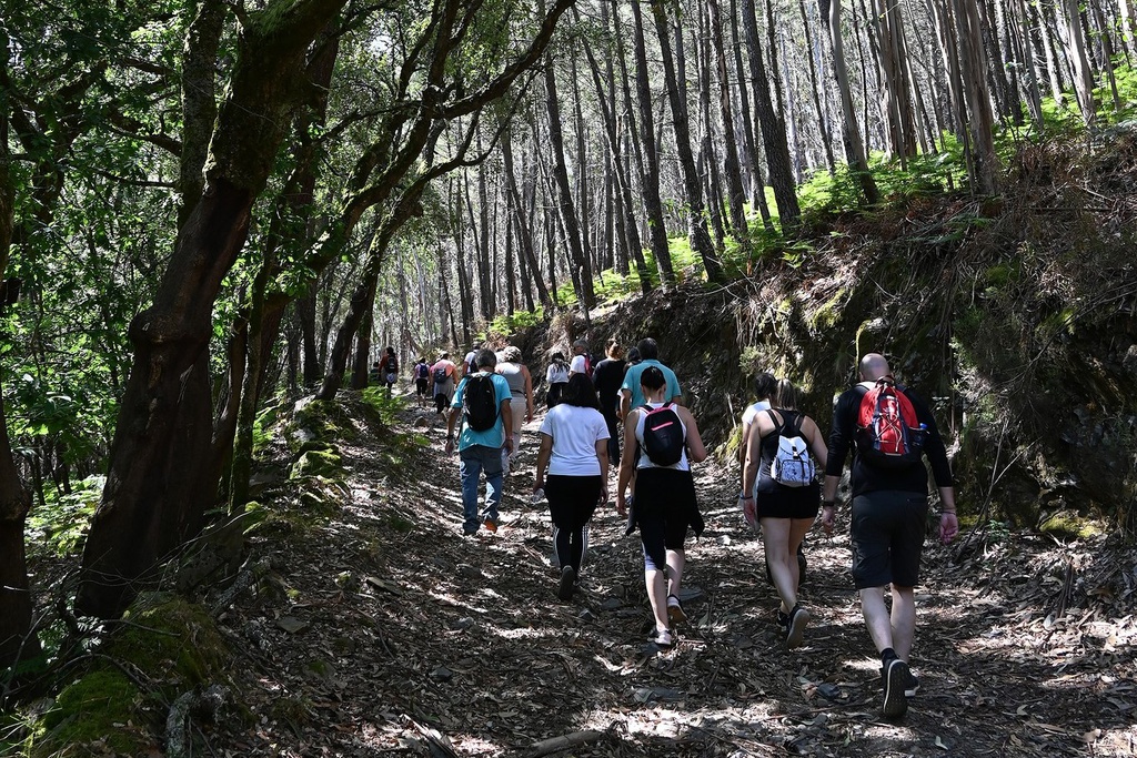 Doze Meses, Doze Caminhadas: Olhar a Brama