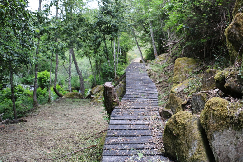 Caminhada na Rota do Rio Unhais