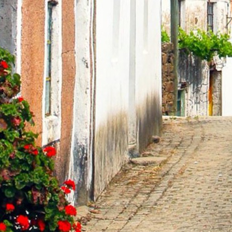 216.º Passeio Pedestre: Murteirinha