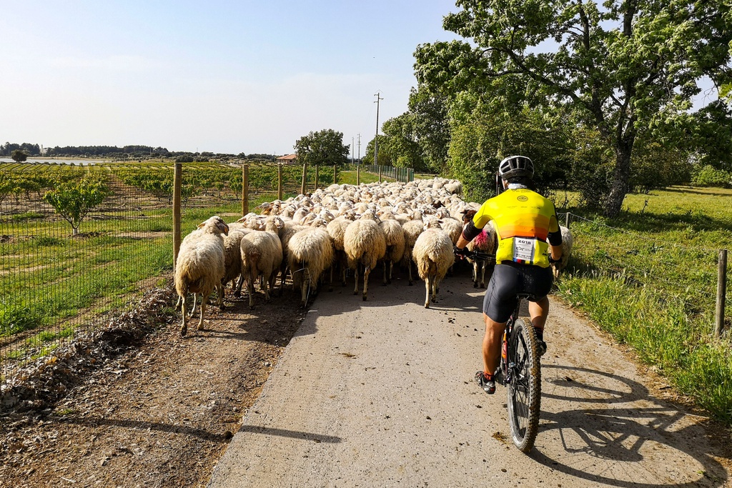 Centro Cyclin'Portugal da Serra da Gardunha (P6 - Verde)