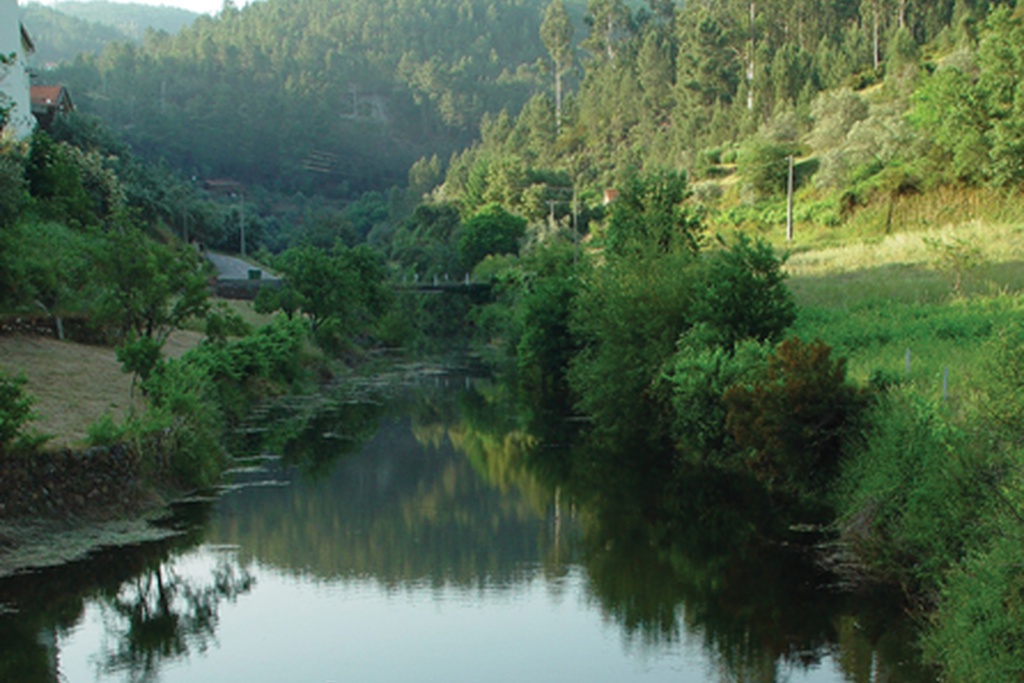 III Concurso de Fotografia “Pampilhosa da Serra Inspira Natureza”