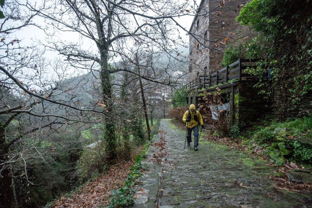 Land of Giants Ultramarathon