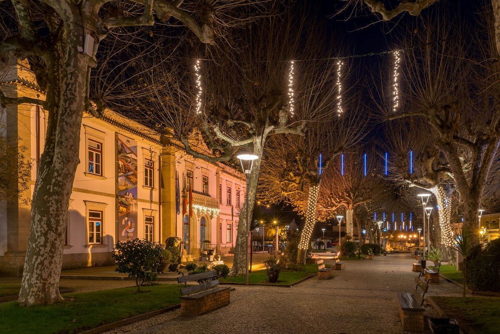 Mercadinho de Natal – Feira de Artesanato e Feira do Mel de Miranda do Corvo