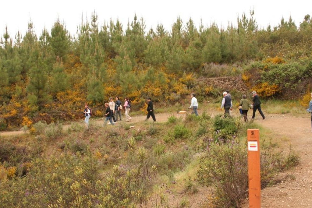 PR8 PNV - Caminho do Xisto de Figueira - Por Muros de Xisto