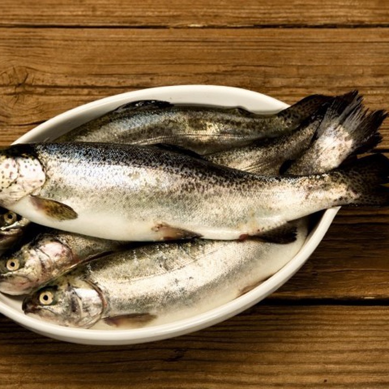 Festival Gastronómico Peixe do Rio