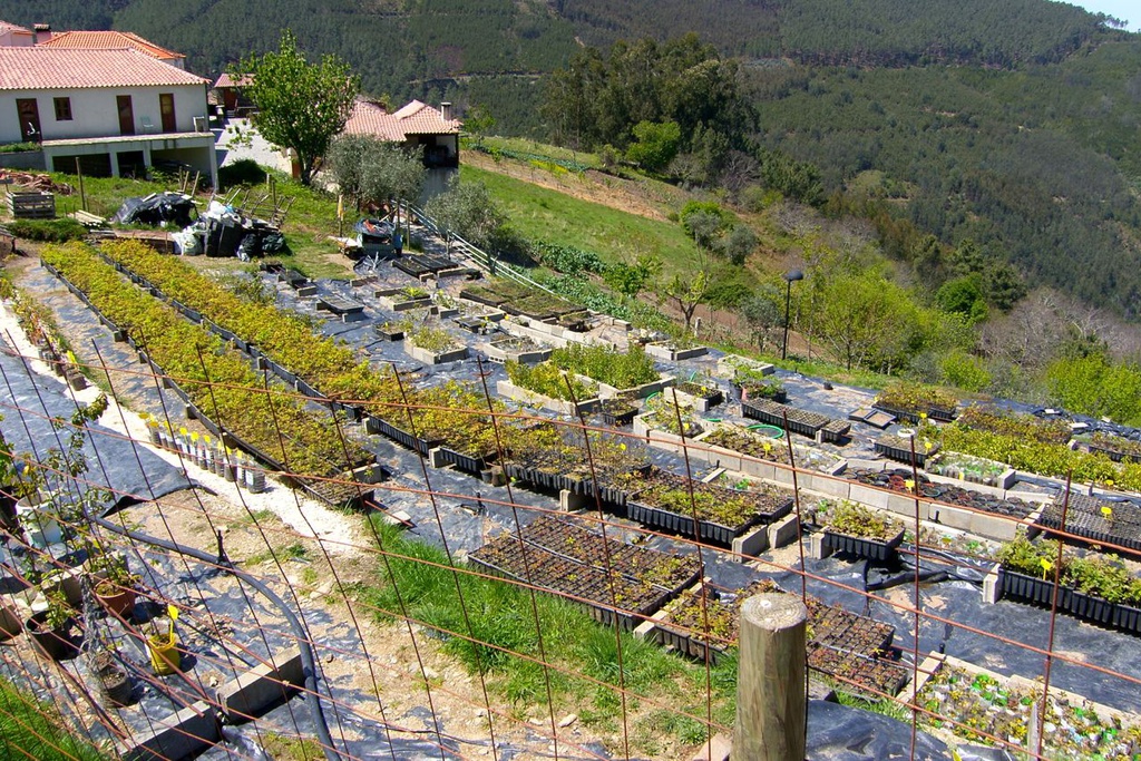 Lousitânea - Serra da Lousã League of Friends