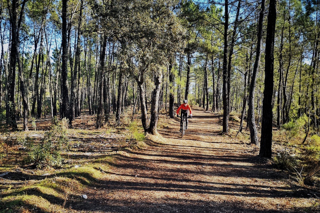 Centro Cyclin'Portugal de Sarzedas (P26 - Preto)