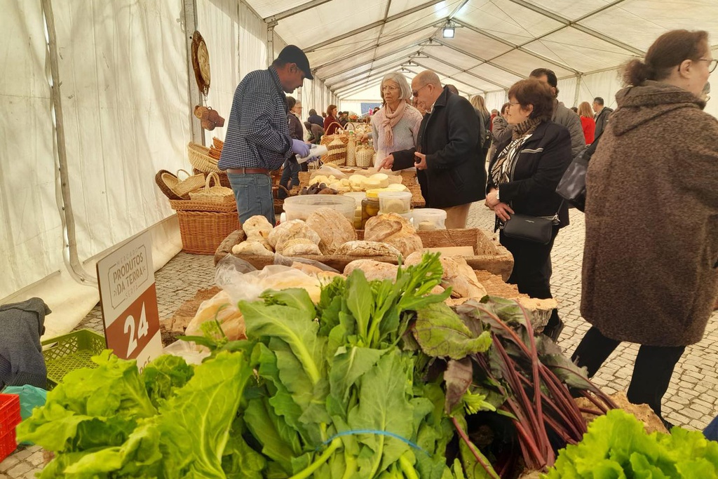 Produtos da Terra: Queijos e Enchidos