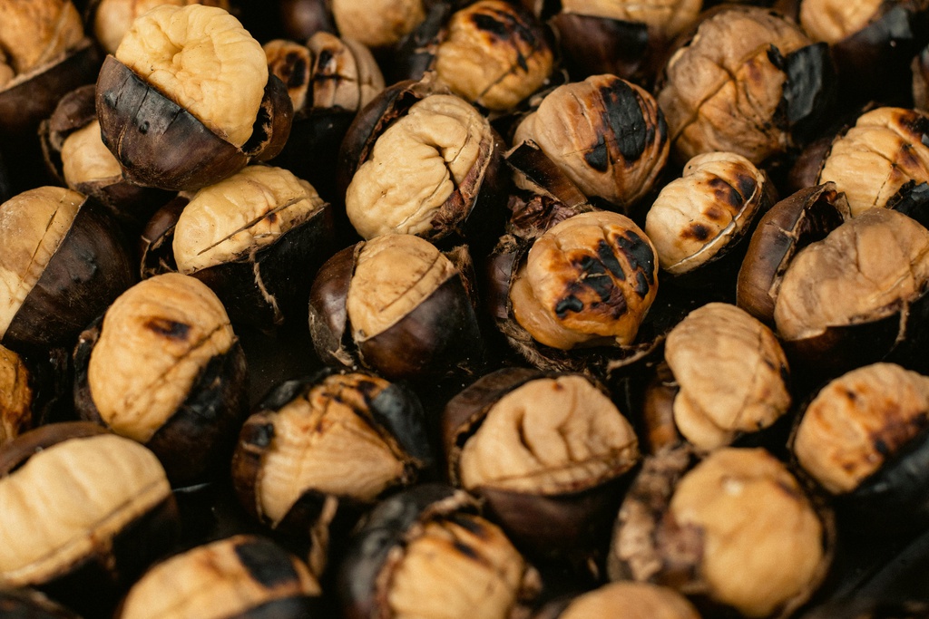 Feira de São Martinho em Janeiro de Cima