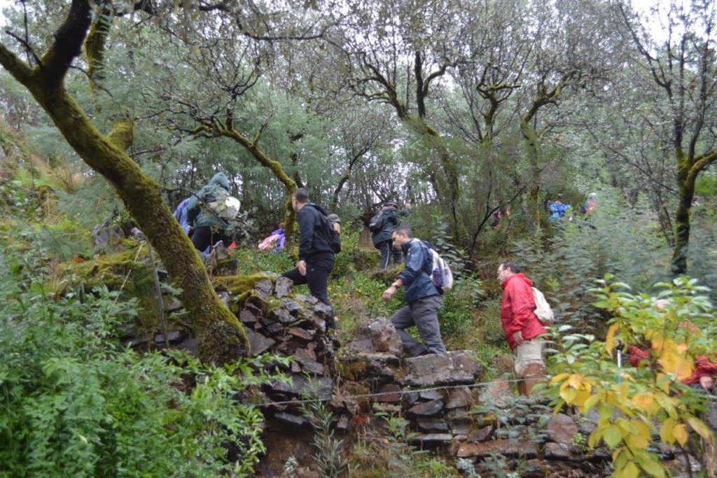 Caminhada de São Martinho na Serra da Lousã