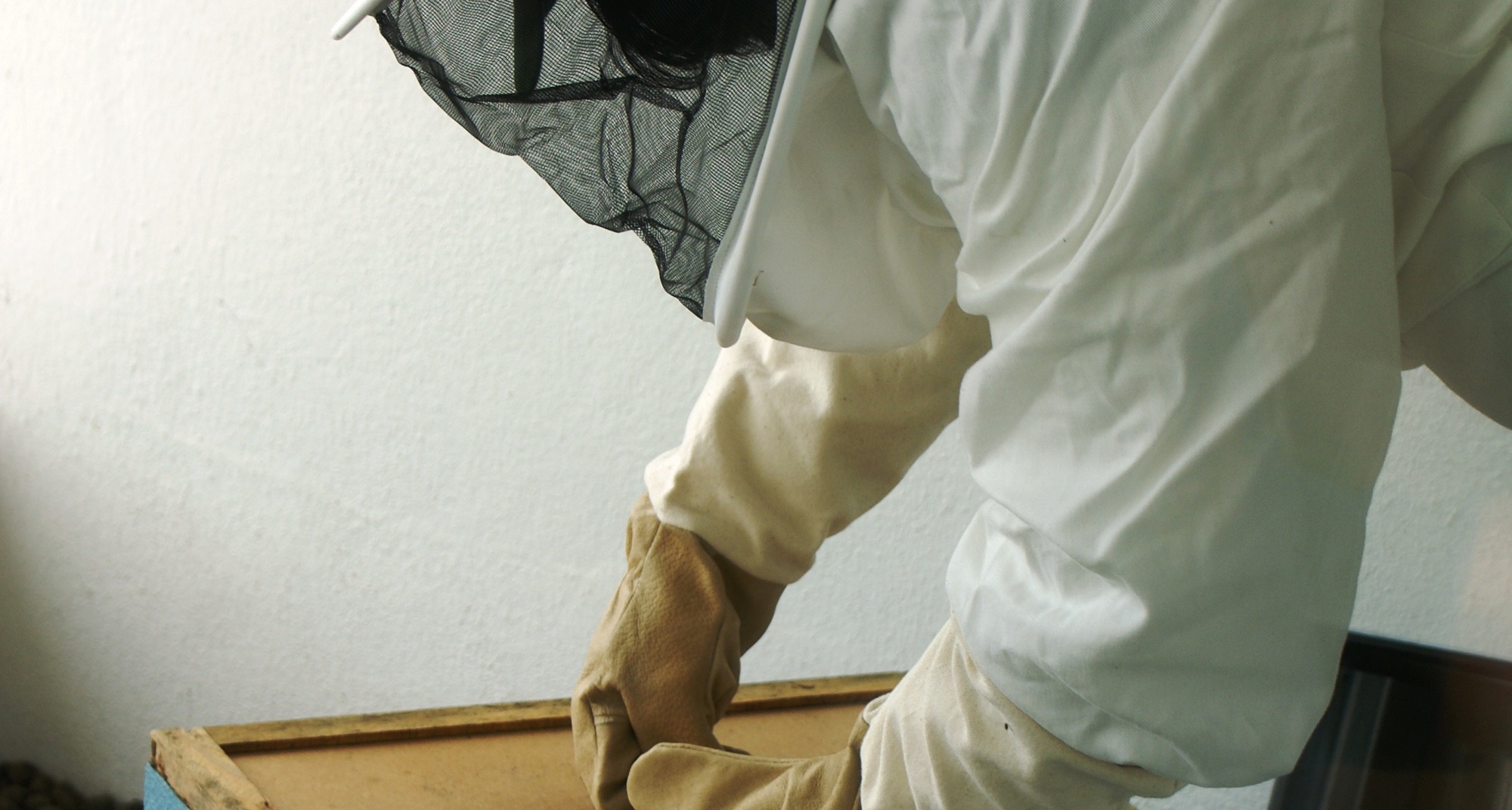 VIII Seminário "A Floresta e a Apicultura"