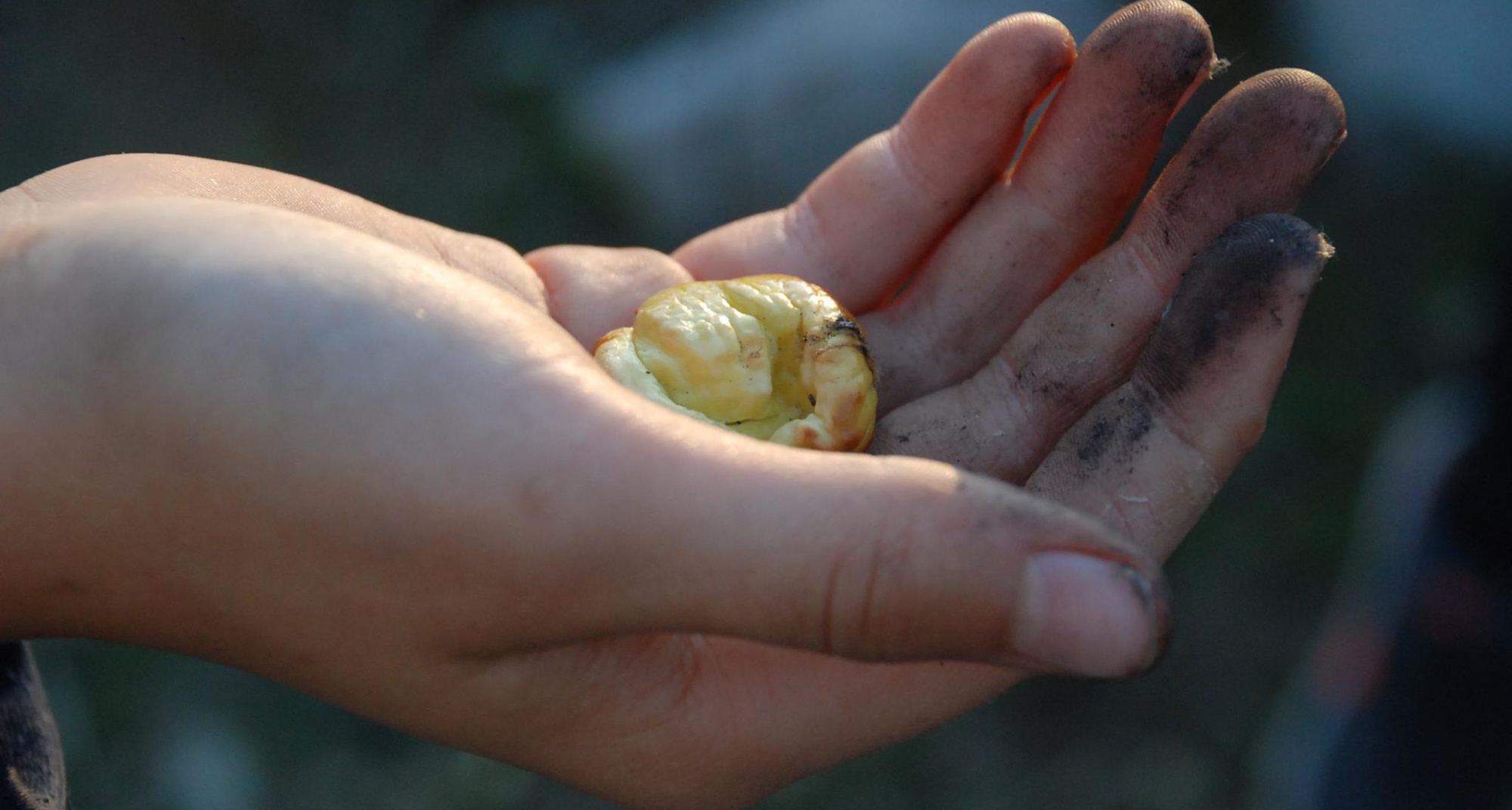 Magusto na Ferraria de São João