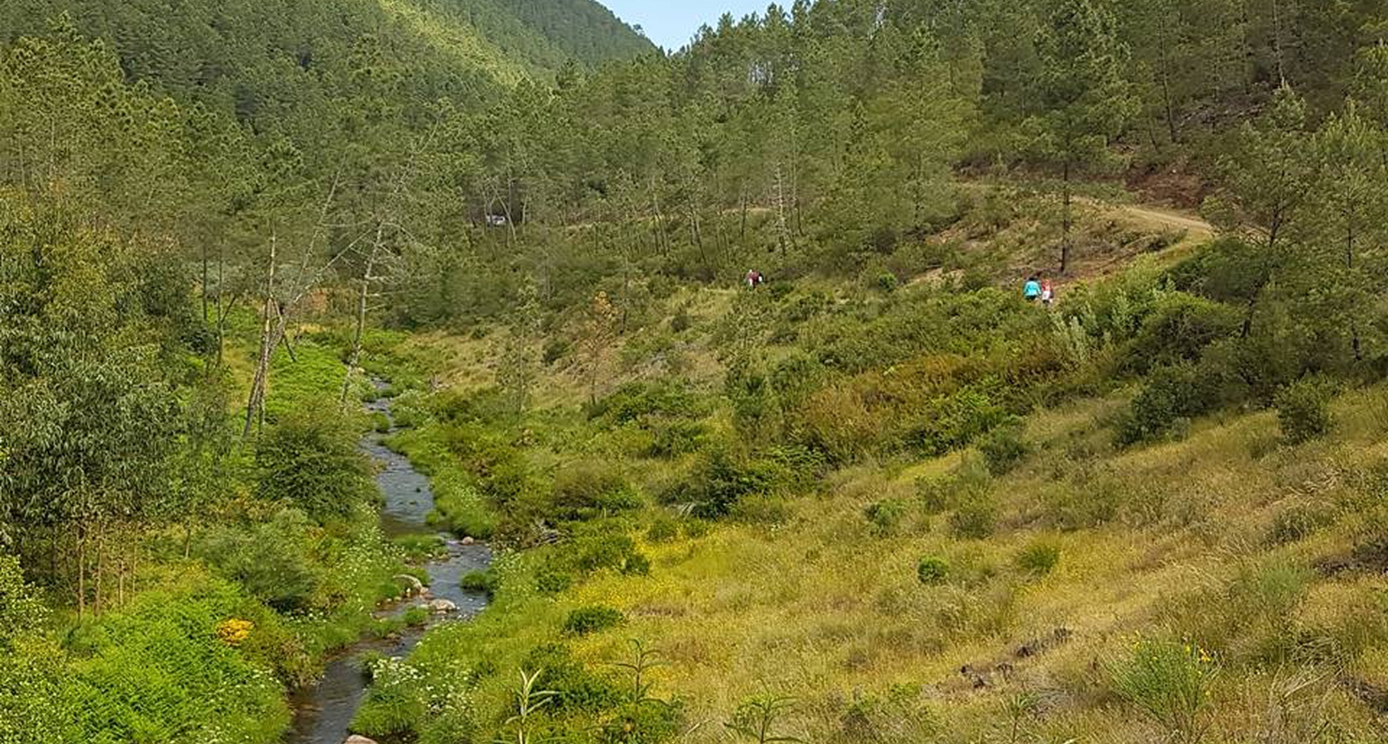 Passeio Pedestre Martim Branco - Almaceda