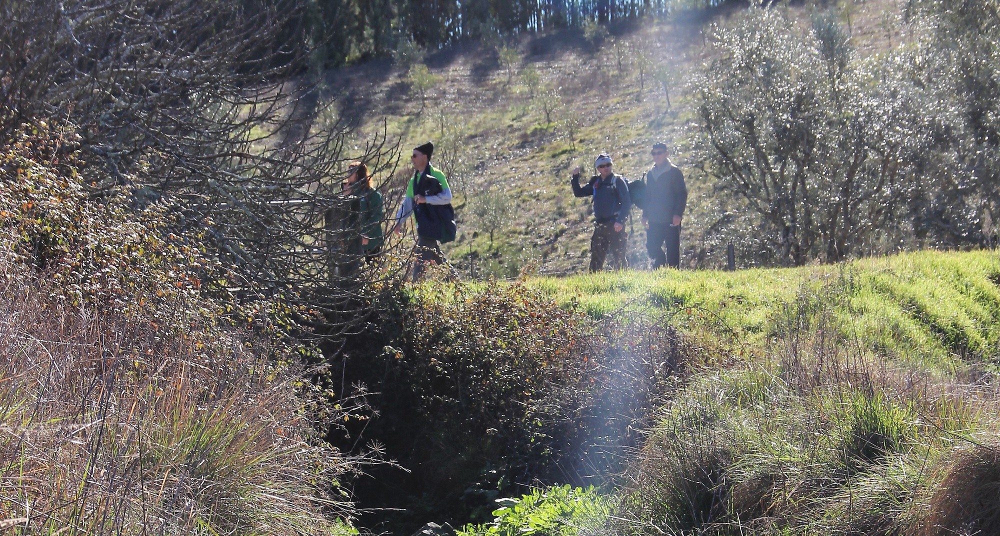 163º Passeio Pedestre: Da Relva à Louça