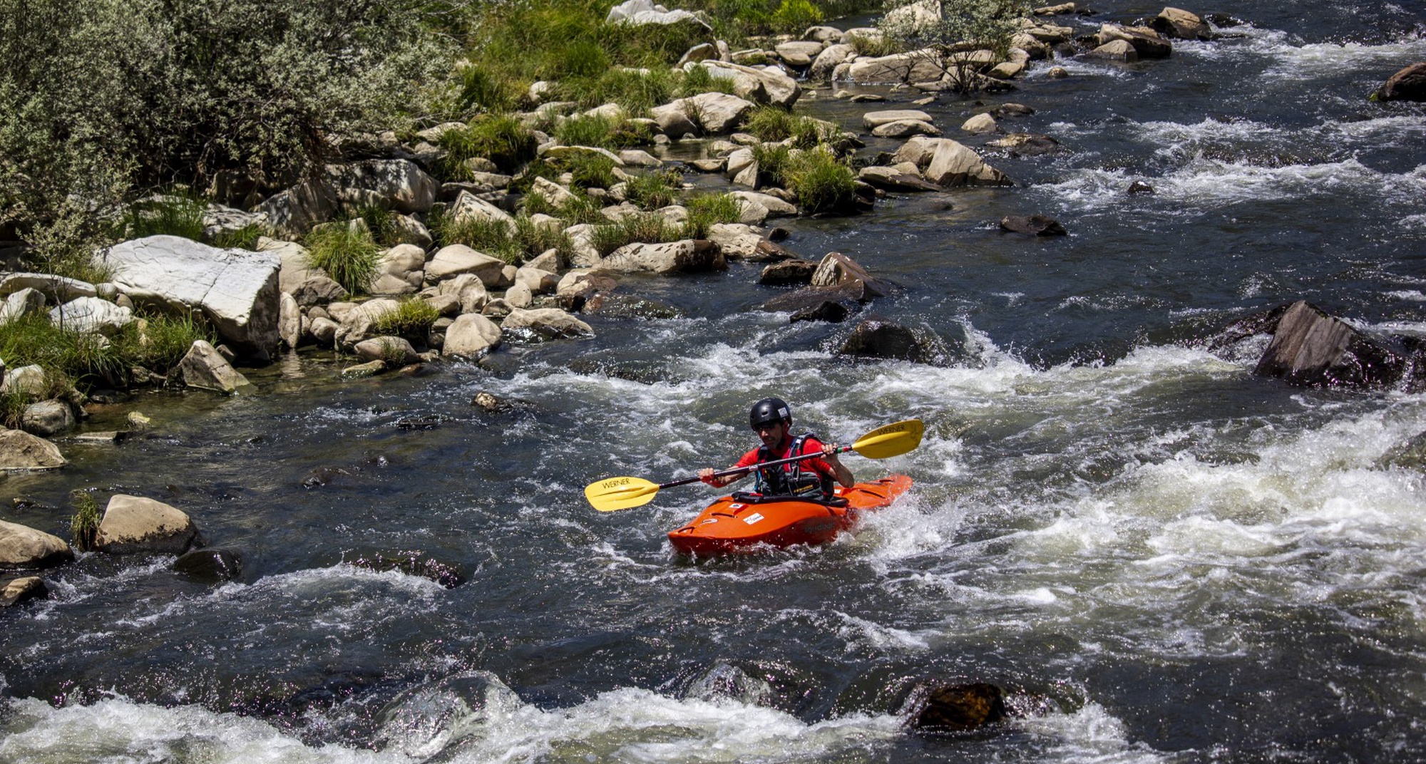 Workshop de Canoagem
