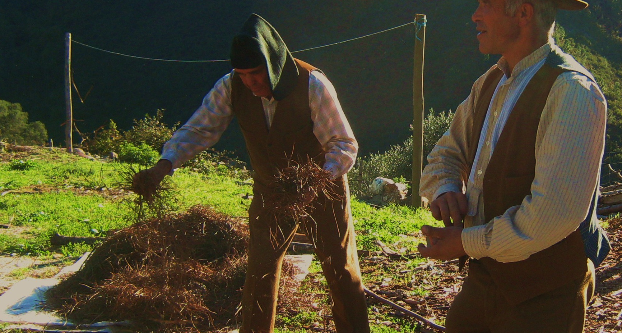 Magusto tradicional e Castanha Pilada