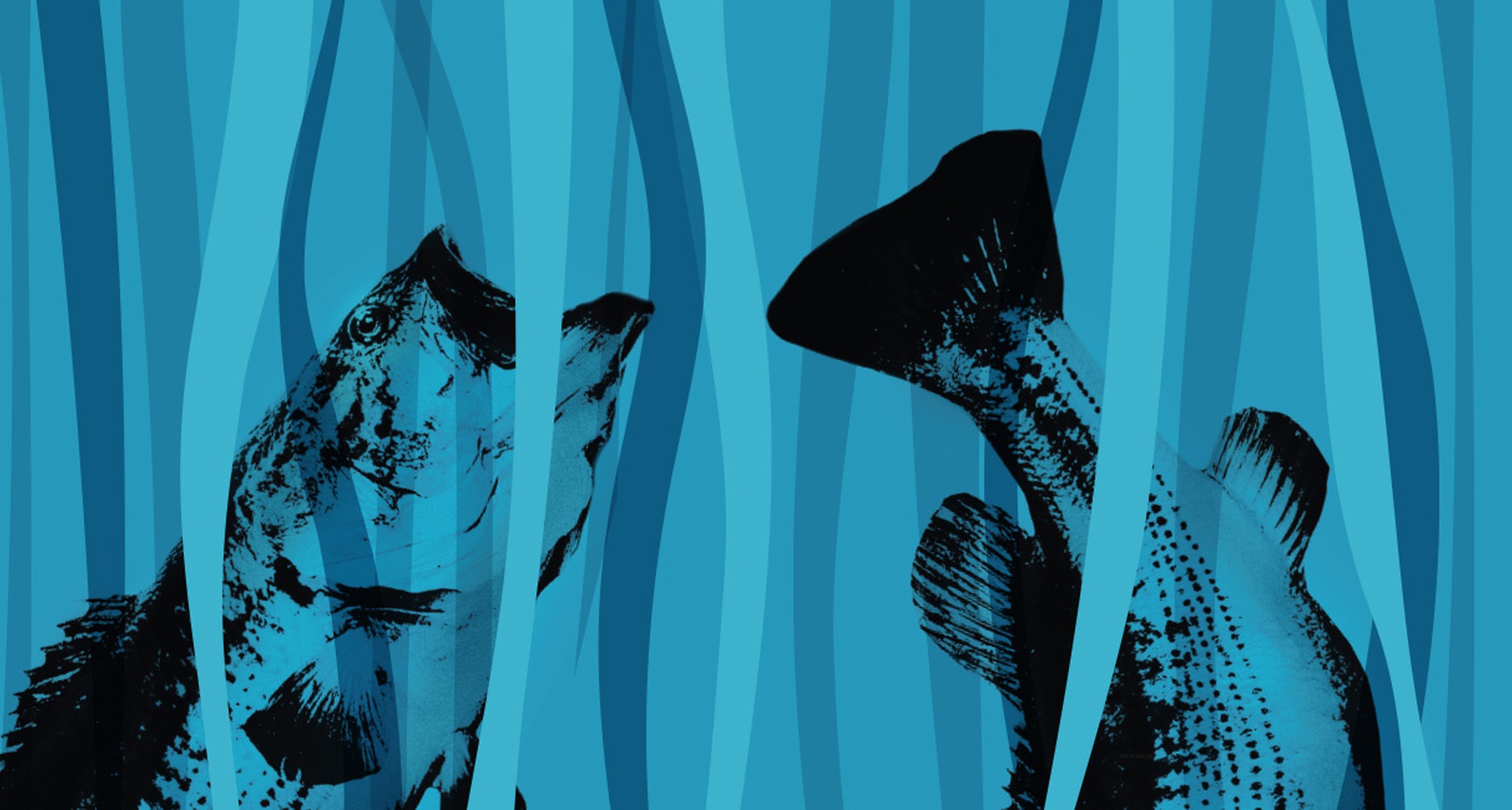 Aldeias do Xisto Achigã Challenge 2018