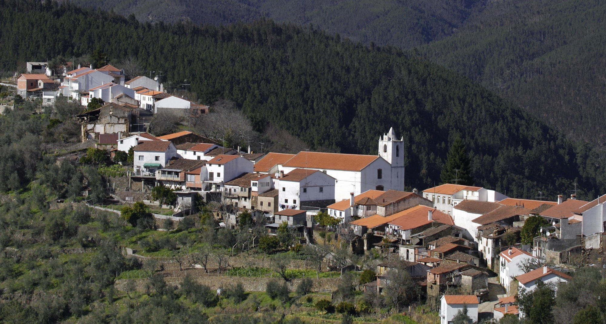 Álvaro marks 500 years since its Manueline Royal charter