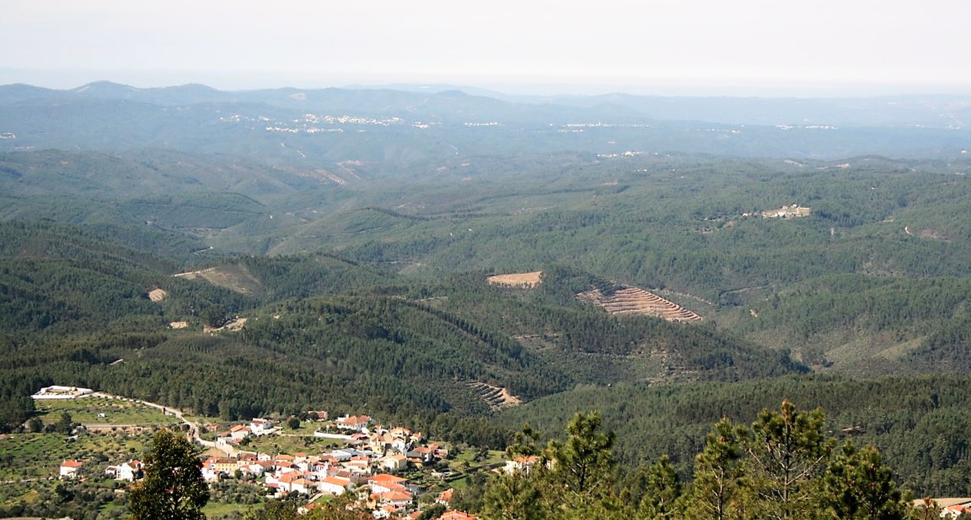 161º Passeio Pedestre - Vergão