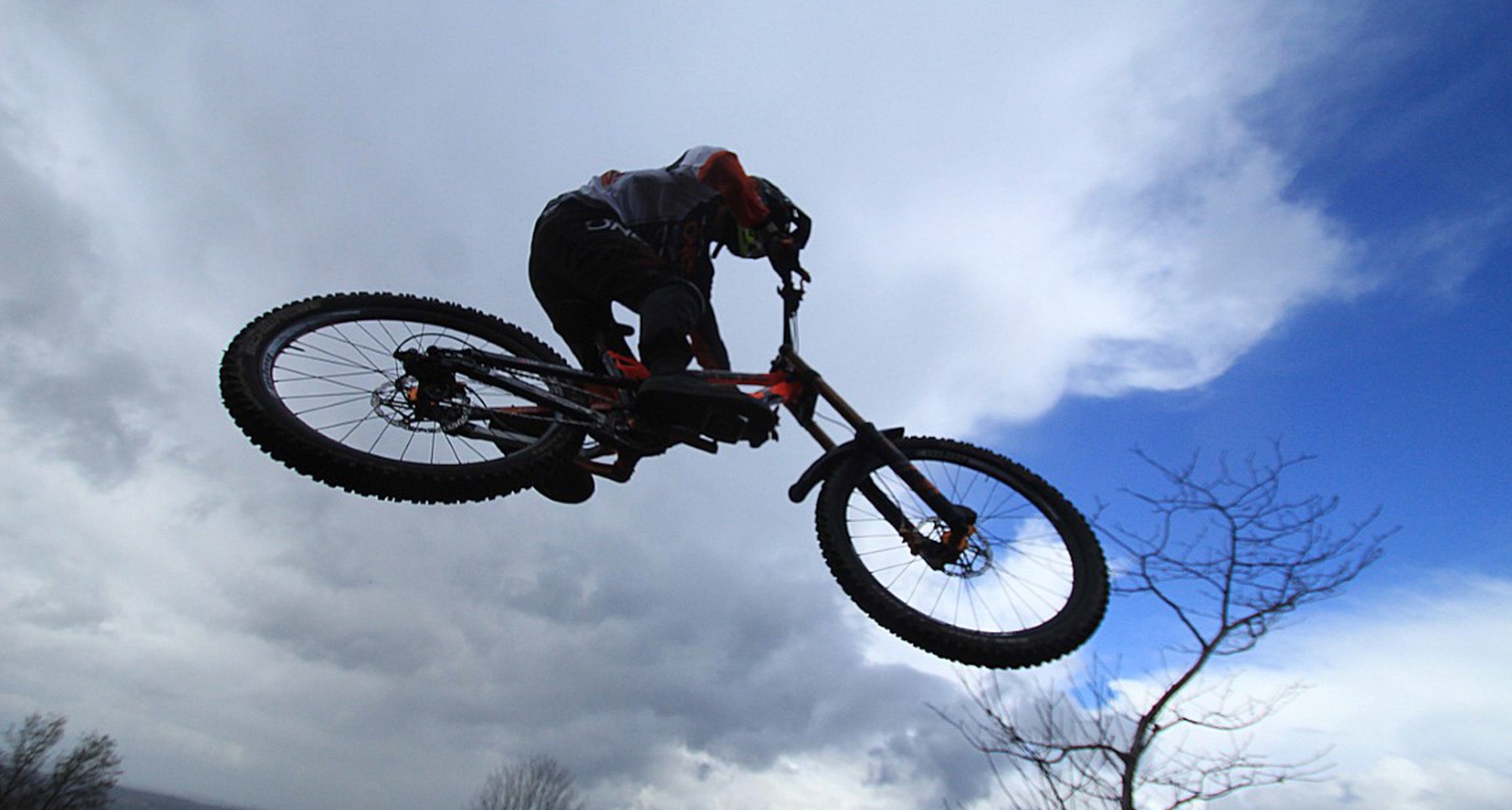 Licor Beirão Avalanche 2019