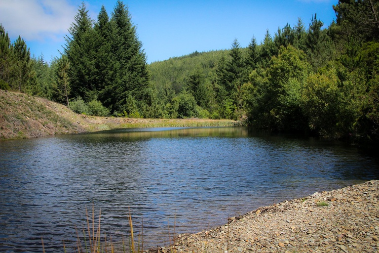 Parque Florestal da Oitava