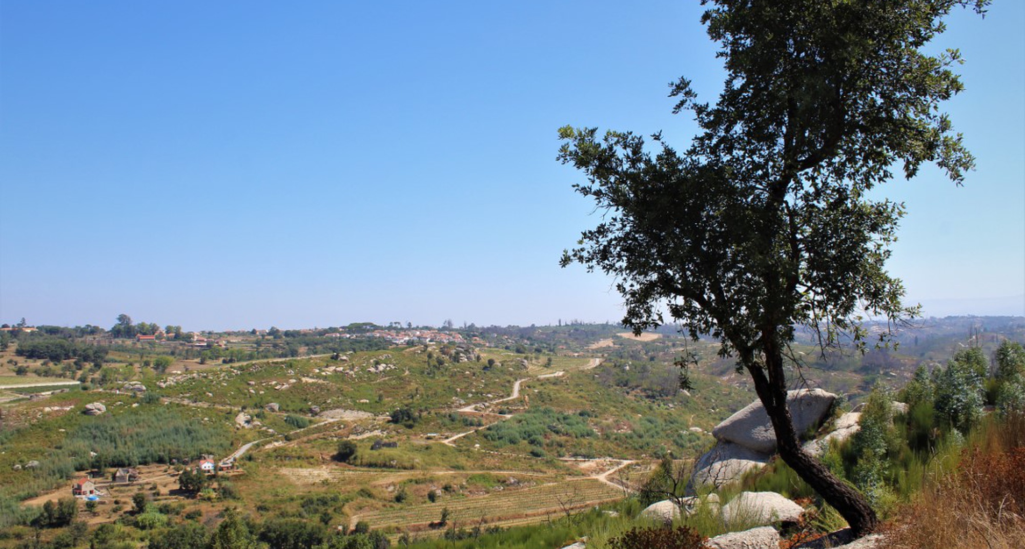 Cross João Brandão