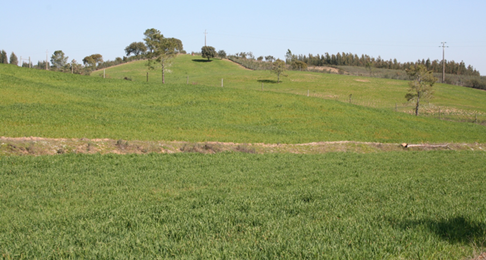 Colóquio inovação e empreendedorismo: contributos para o desenvolvimento agrário