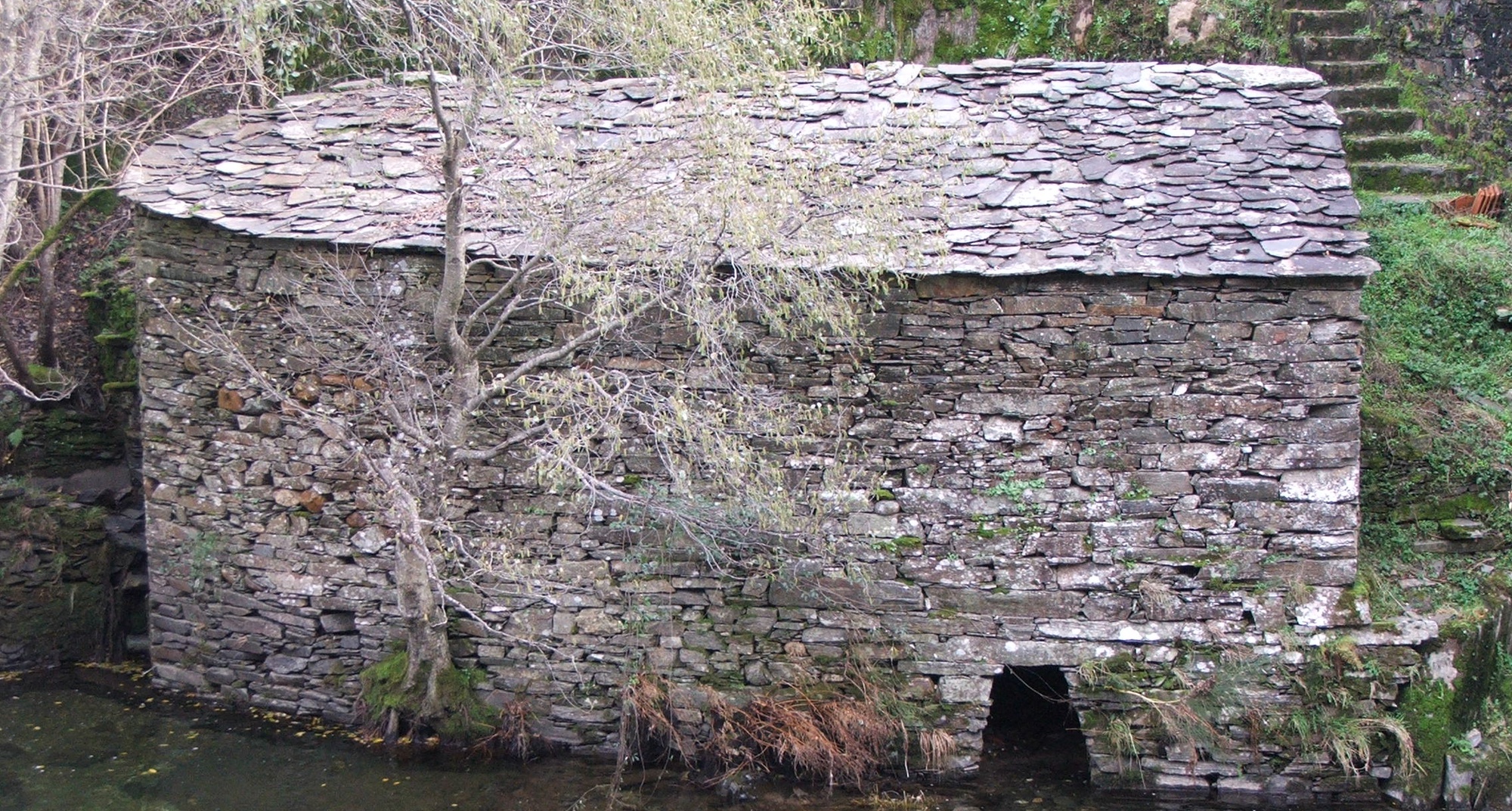 Tour pelos Moinhos do Vale do Ceira