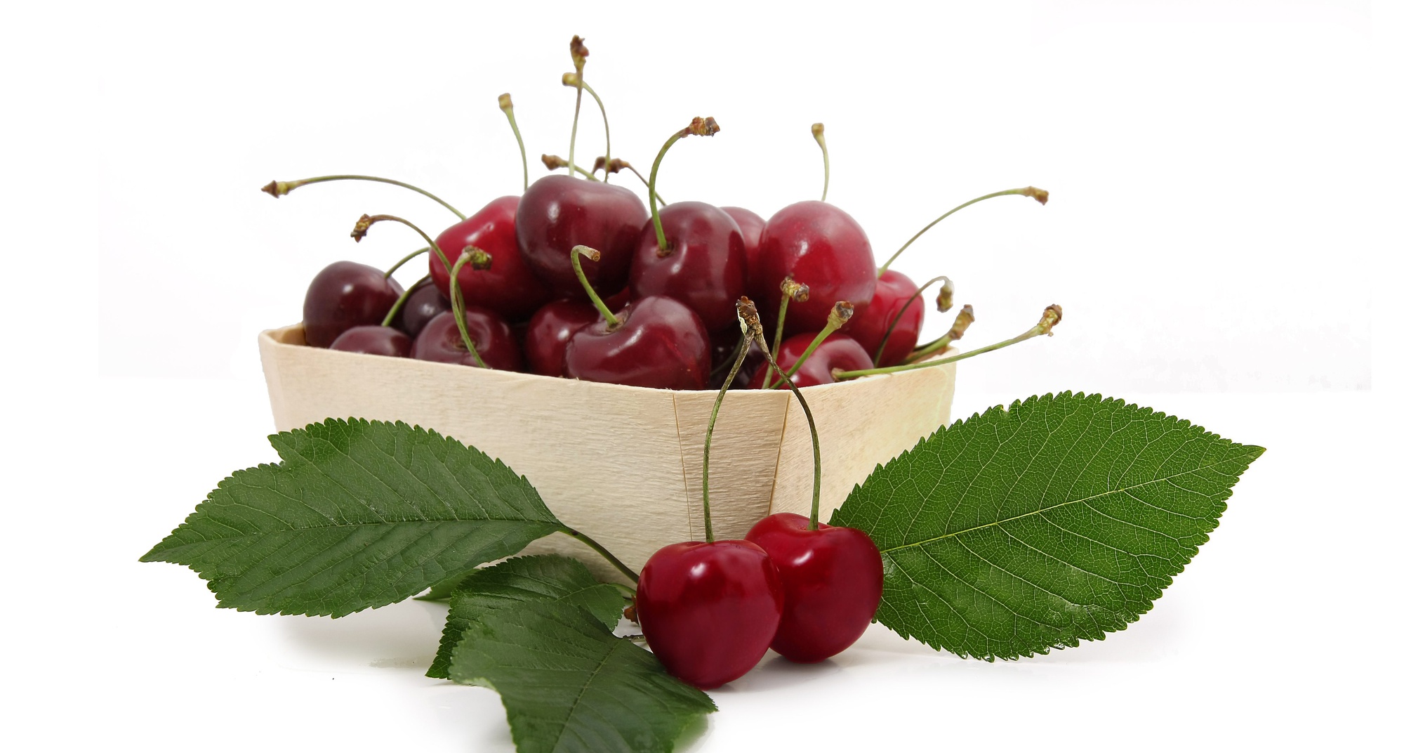 Grande Divulgação Cerejas do Fundão