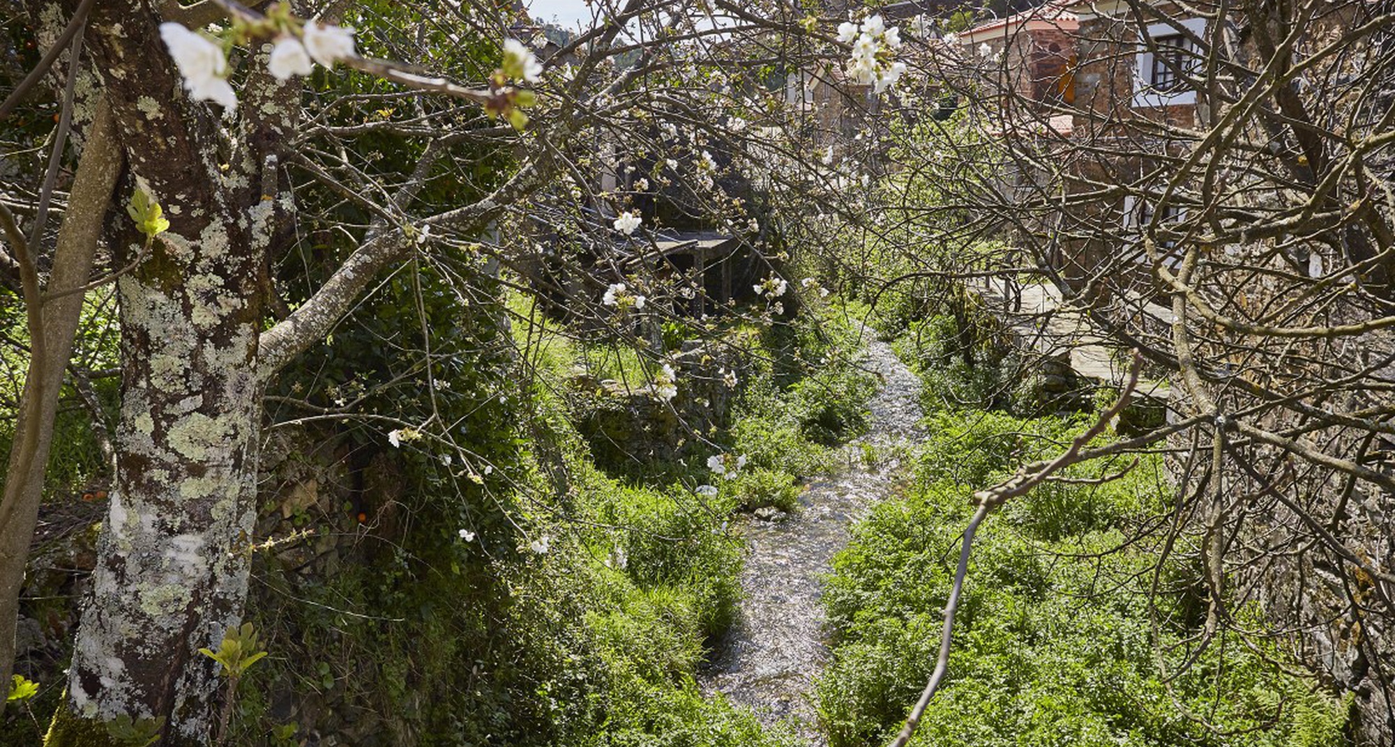 162º Passeio Pedestre - Entre Xisto e Água