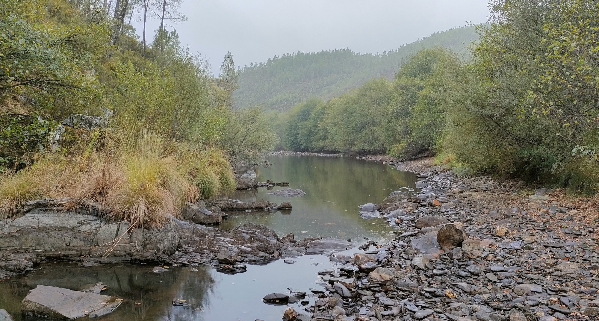 À Procura da Biodiversidade na Ribeira do Alvito