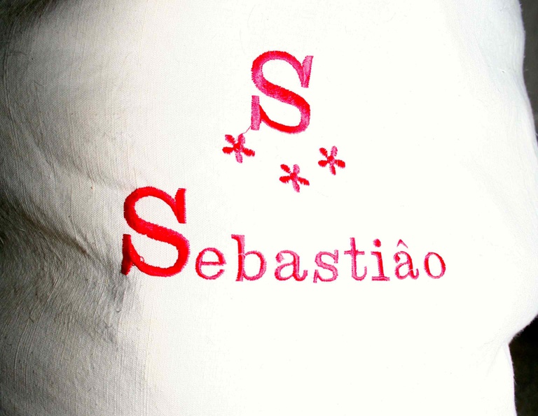 Lenda de S. Sebastião e Festa do Bodo