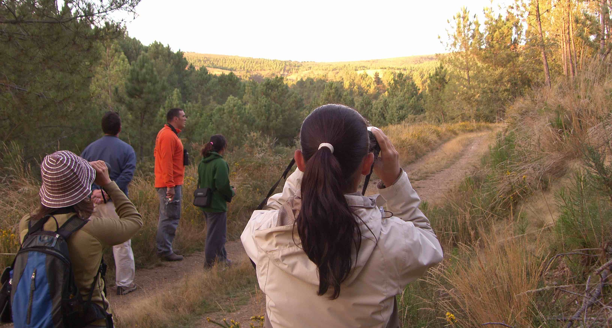 Iniciação à Observação de Aves
