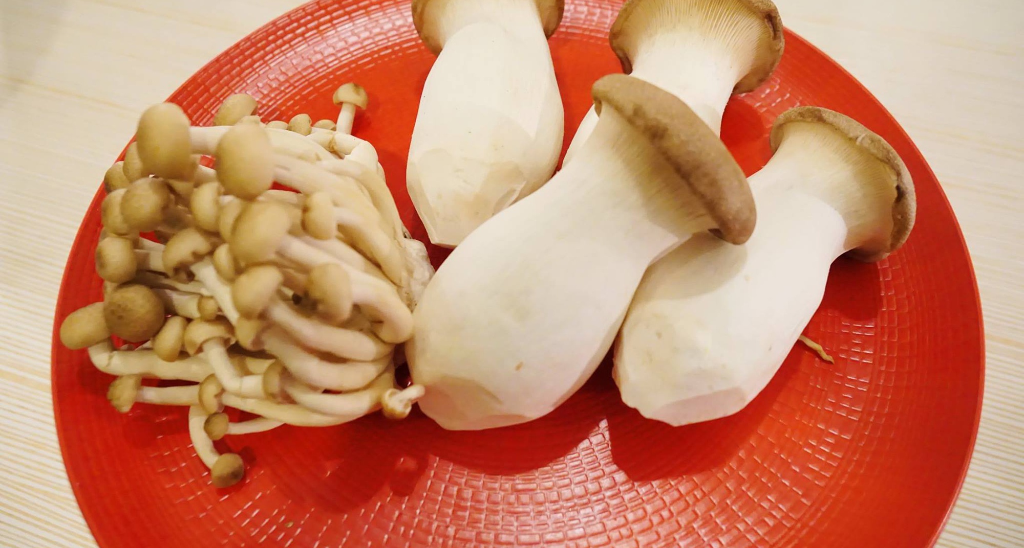 Workshop de Micologia