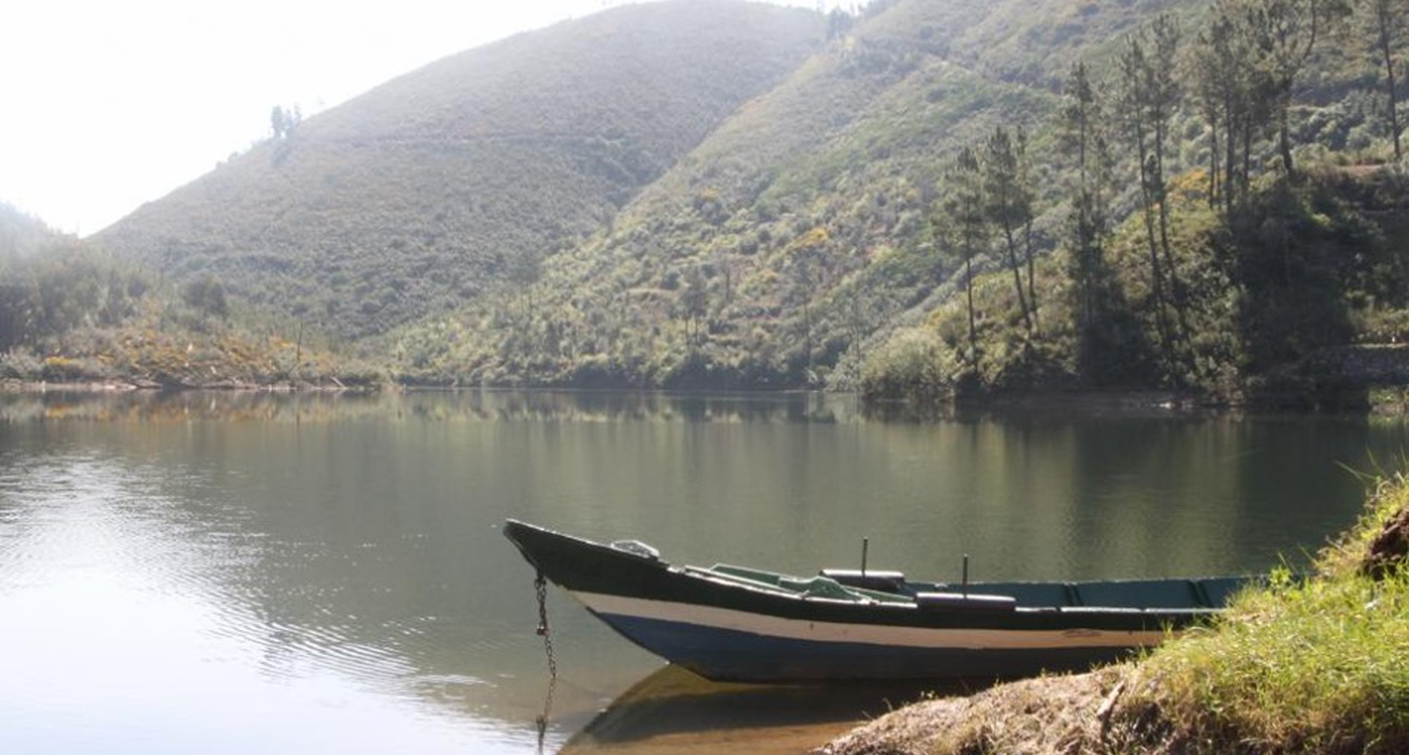 Pelos Azereiros do Zêzere