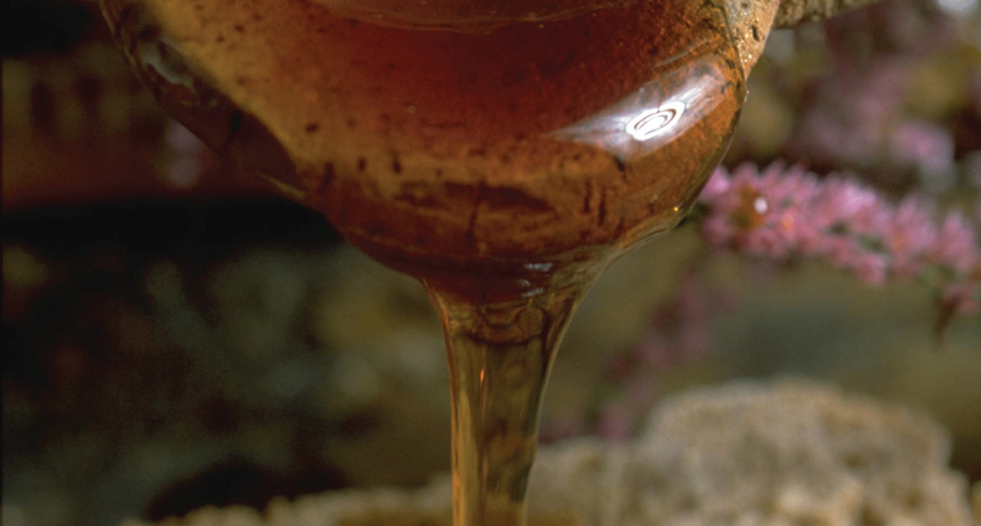 Programa do Mel "O Doce de Urze"