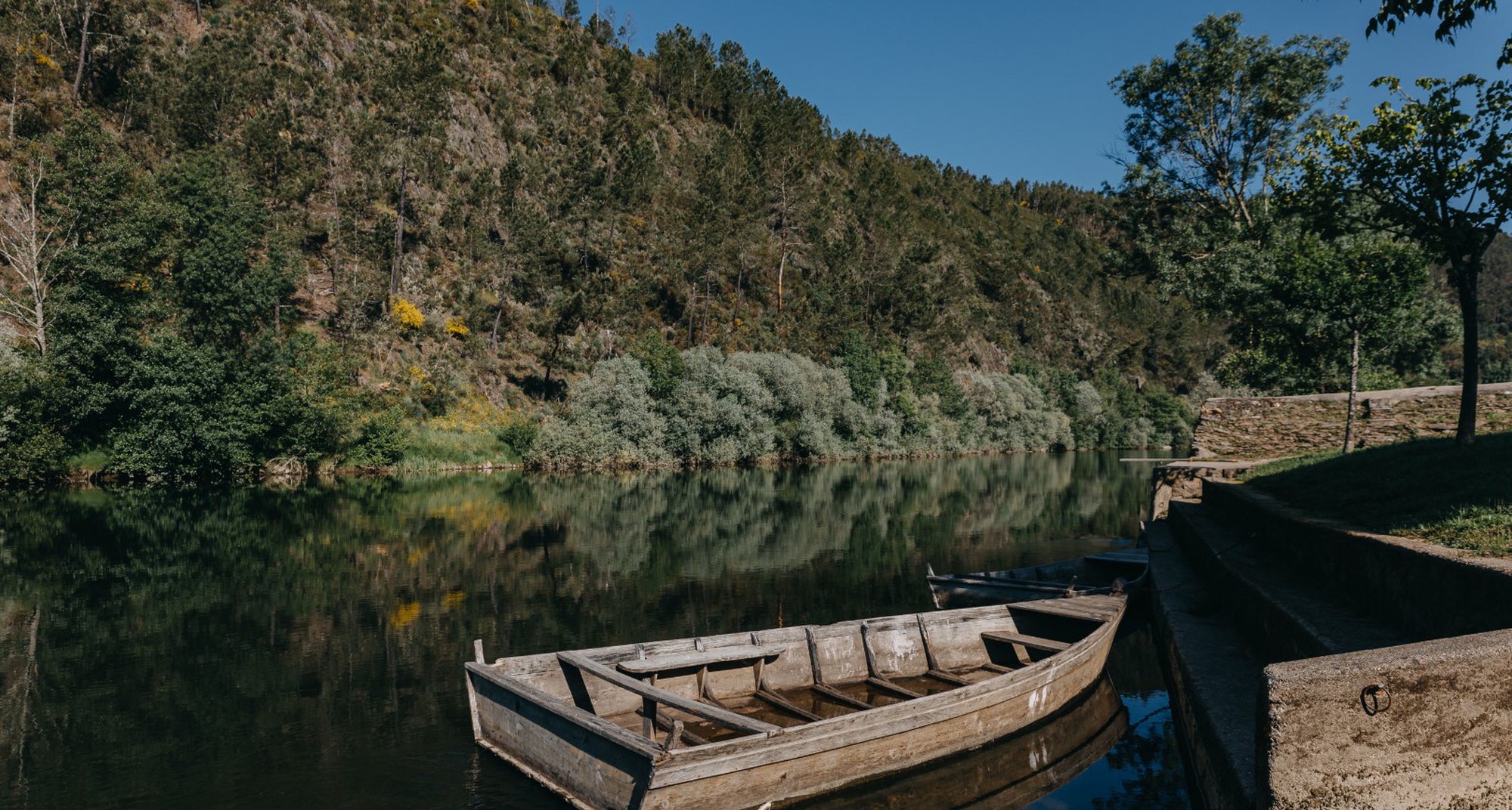 Walking Tours and Boats in the River