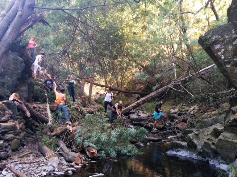 Jovens de vários países participaram em Campo de Trabalho Internacional