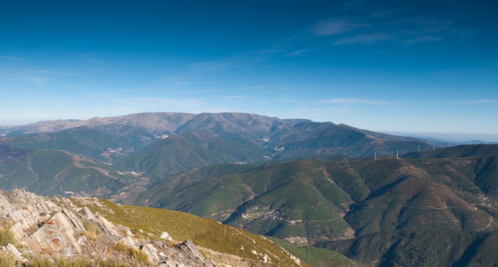 Caminhada de São Martinho