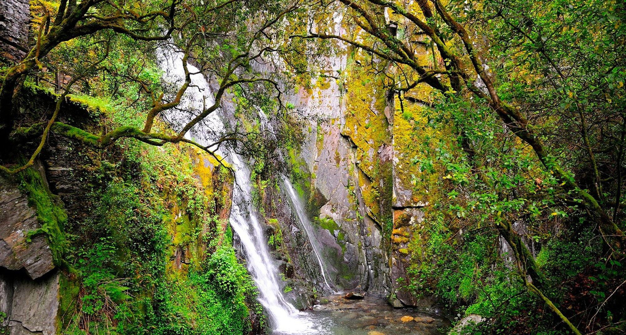 Lançamento da Rede de Guardiãs da Natureza e Desenvolvimento Sustentável do Mundo Rural